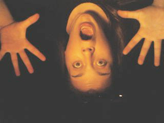 picture303.jpg