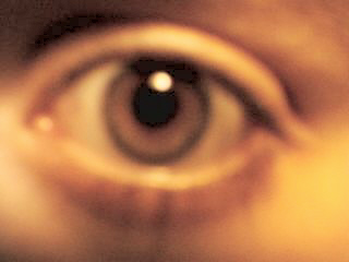 picture76.jpg